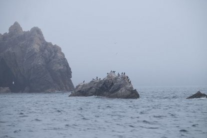 A foggy world.