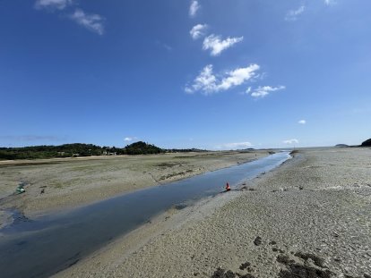 Ons vaarwater van gisteren met de boeitjes op het droge.
